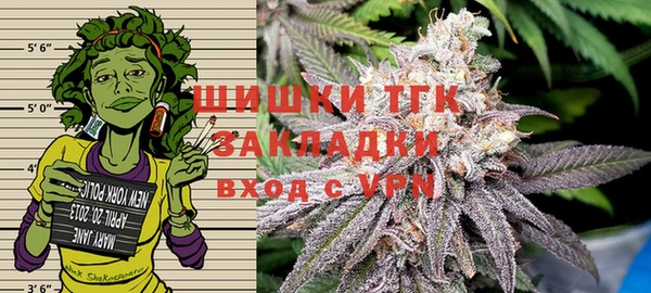 ГАЛЛЮЦИНОГЕННЫЕ ГРИБЫ Остров