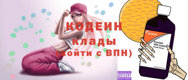 хмурый Алзамай