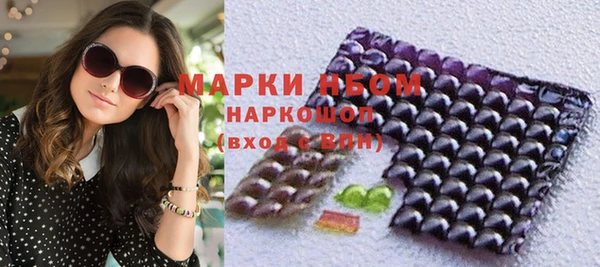 хмурый Алзамай
