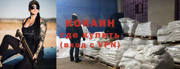 хмурый Алзамай